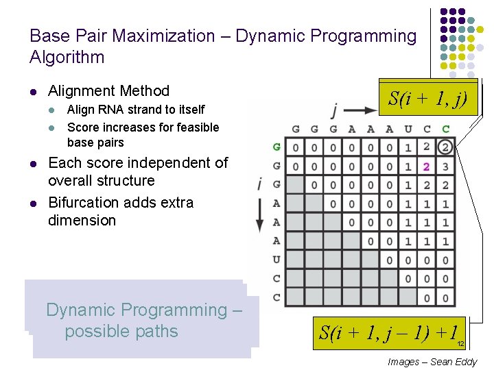 Base Pair Maximization – Dynamic Programming Algorithm l Alignment Method l l Align RNA