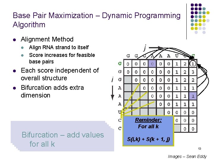 Base Pair Maximization – Dynamic Programming Algorithm l Alignment Method l l Align RNA