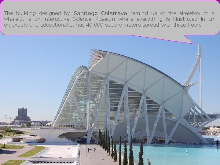 The building designed by Santiago Calatrava remind us of the skeleton of a whale.