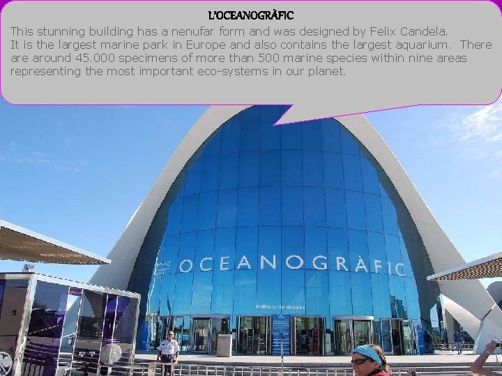 L’OCEANOGRÀFIC This stunning building has a nenufar form and was designed by Felix Candela.