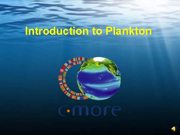 Introduction to Plankton 