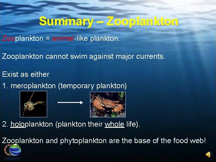 Summary – Zooplankton = animal-like plankton. Zooplankton cannot swim against major currents. Exist as