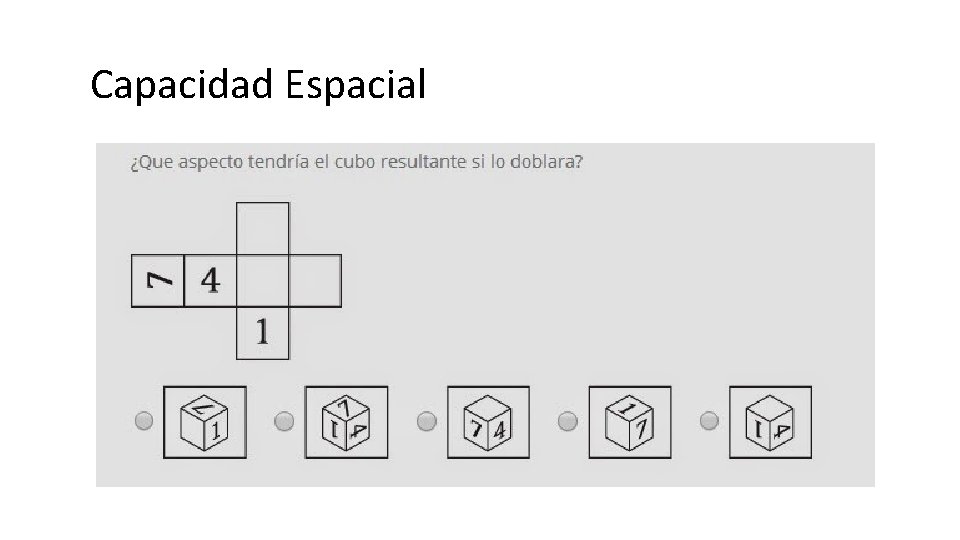 Capacidad Espacial 