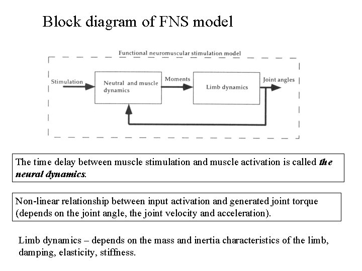 Block diagram of FNS model The time delay between muscle stimulation and muscle activation Block diagram of FNS model The time delay between muscle stimulation and muscle activation