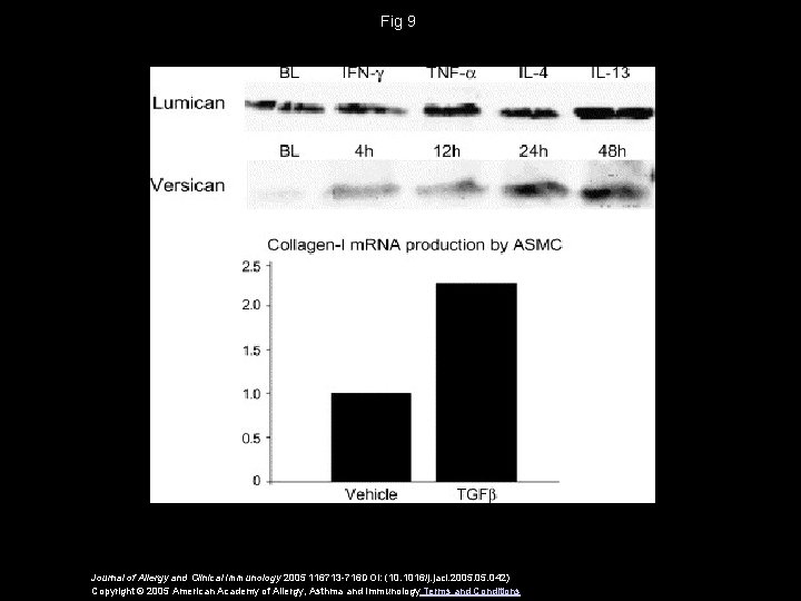 Fig 9 Journal of Allergy and Clinical Immunology 2005 116713 -716 DOI: (10. 1016/j.