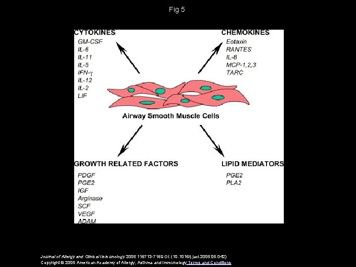 Fig 5 Journal of Allergy and Clinical Immunology 2005 116713 -716 DOI: (10. 1016/j.