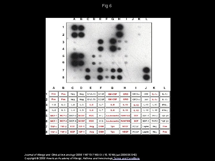 Fig 6 Journal of Allergy and Clinical Immunology 2005 116713 -716 DOI: (10. 1016/j.