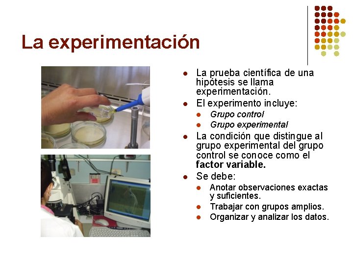 La experimentación l l La prueba científica de una hipótesis se llama experimentación. El