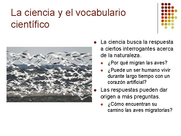 La ciencia y el vocabulario científico l La ciencia busca la respuesta a ciertos