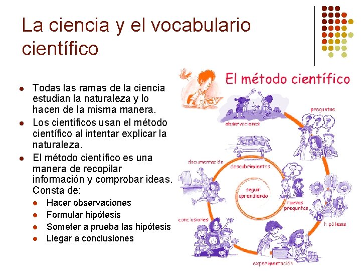 La ciencia y el vocabulario científico l l l Todas las ramas de la