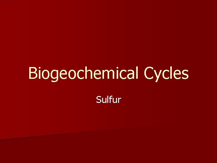 Biogeochemical Cycles Sulfur 