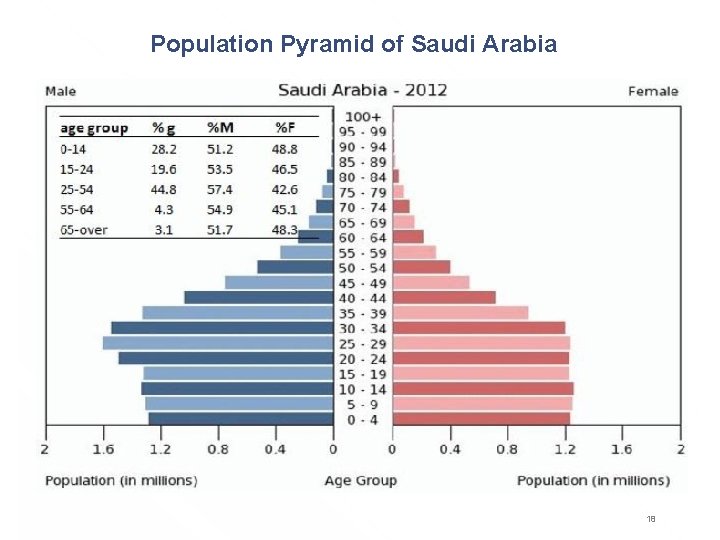 Population Pyramid of Saudi Arabia 18 