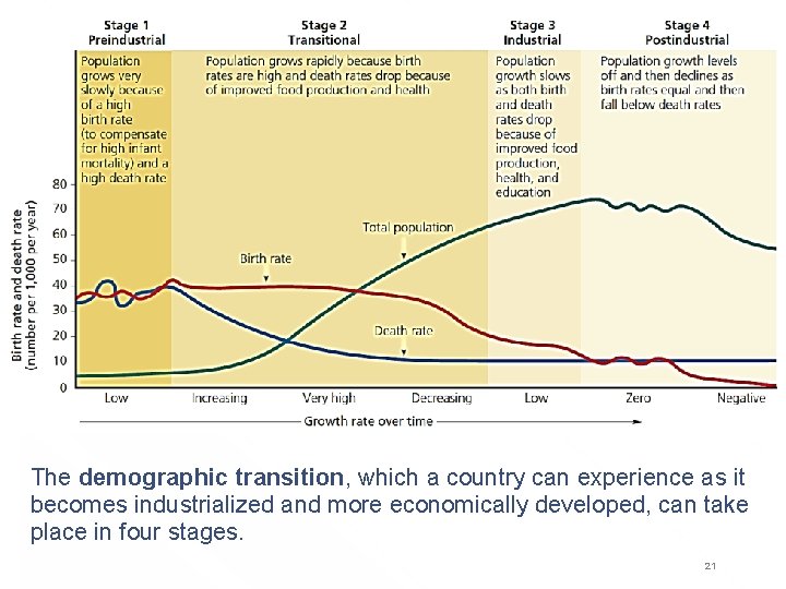 The demographic transition, which a country can experience as it becomes industrialized and more
