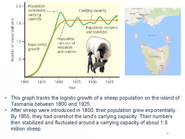  • This graph tracks the logistic growth of a sheep population on the