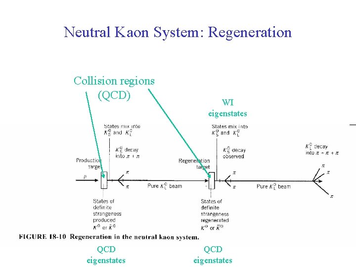 Neutral Kaon System: Regeneration Collision regions (QCD) QCD eigenstates WI eigenstates QCD eigenstates 