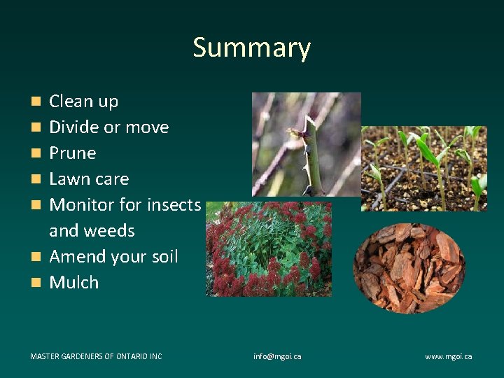 Summary n n n n Clean up Divide or move Prune Lawn care Monitor