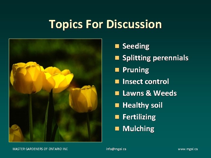 Topics For Discussion n n n n MASTER GARDENERS OF ONTARIO INC Seeding Splitting