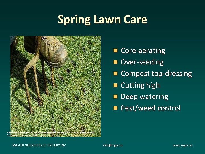 Spring Lawn Care n n n Core-aerating Over-seeding Compost top-dressing Cutting high Deep watering