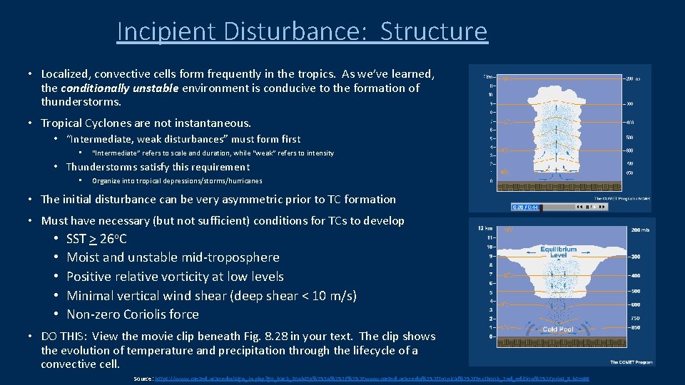 Incipient Disturbance: Structure • Localized, convective cells form frequently in the tropics. As we’ve