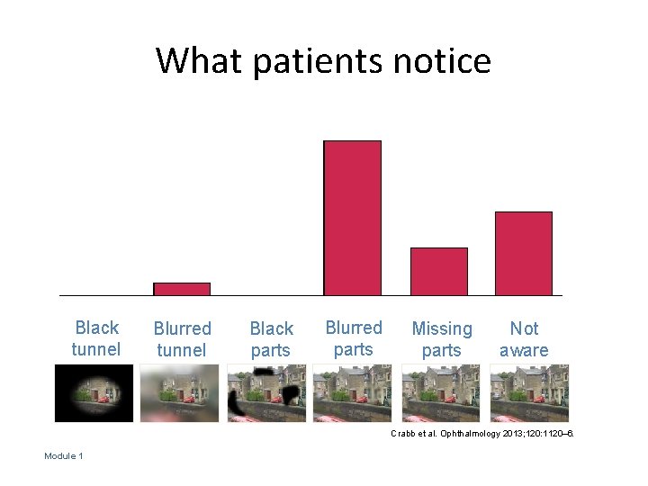 What patients notice Black tunnel Blurred tunnel Black parts Blurred parts Missing parts Not