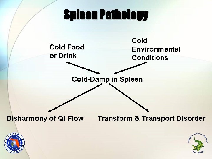 Spleen Pathology Cold Food or Drink Cold Environmental Conditions Cold-Damp in Spleen Disharmony of