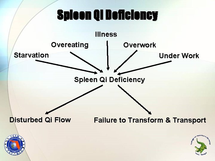 Spleen Qi Deficiency Illness Overeating Overwork Starvation Under Work Spleen Qi Deficiency Disturbed Qi