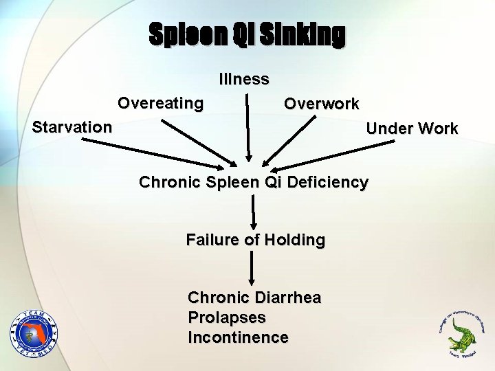 Spleen Qi Sinking Illness Overeating Overwork Starvation Under Work Chronic Spleen Qi Deficiency Failure