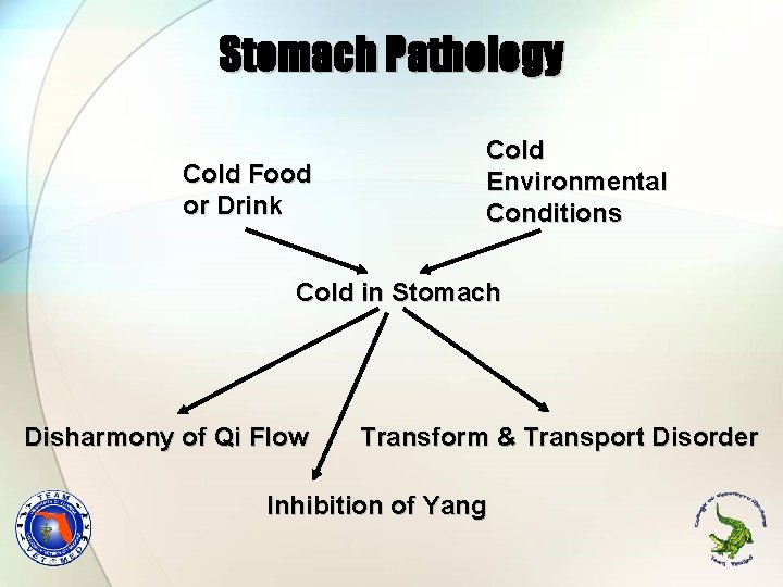 Stomach Pathology Cold Food or Drink Cold Environmental Conditions Cold in Stomach Disharmony of