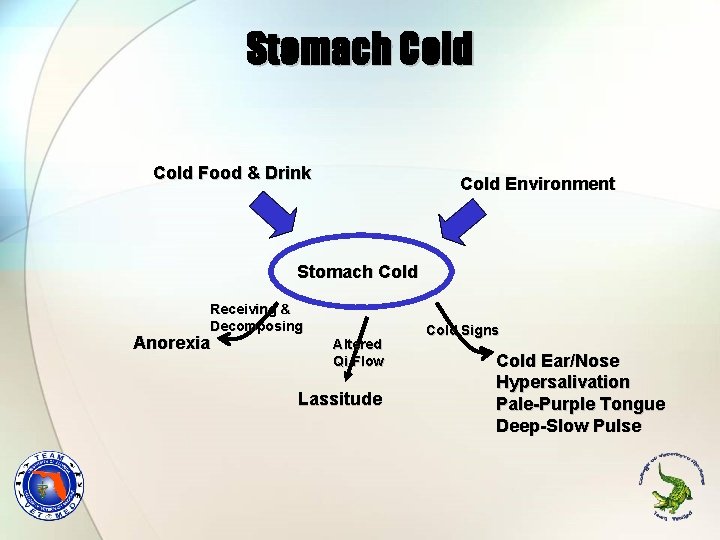 Stomach Cold Food & Drink Cold Environment Stomach Cold Receiving & Decomposing Anorexia Altered