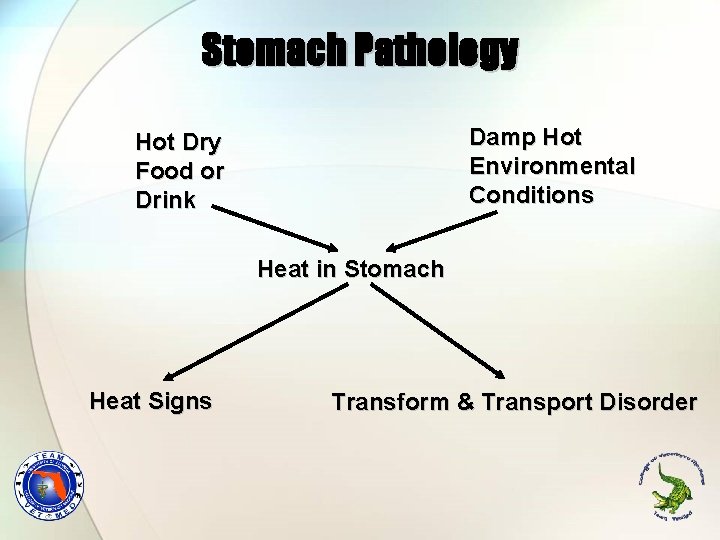 Stomach Pathology Damp Hot Environmental Conditions Hot Dry Food or Drink Heat in Stomach