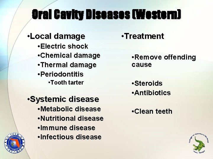 Oral Cavity Diseases (Western) • Local damage • Electric shock • Chemical damage •