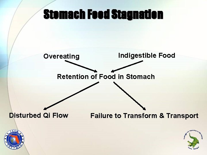 Stomach Food Stagnation Overeating Indigestible Food Retention of Food in Stomach Disturbed Qi Flow