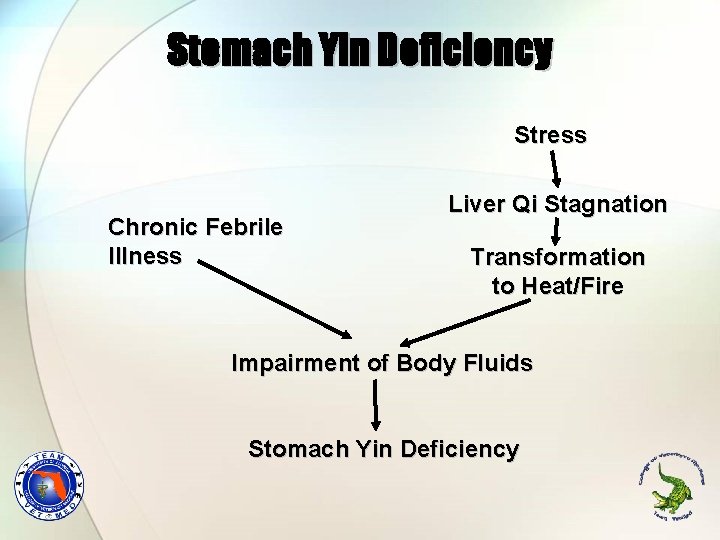 Stomach Yin Deficiency Stress Chronic Febrile Illness Liver Qi Stagnation Transformation to Heat/Fire Impairment