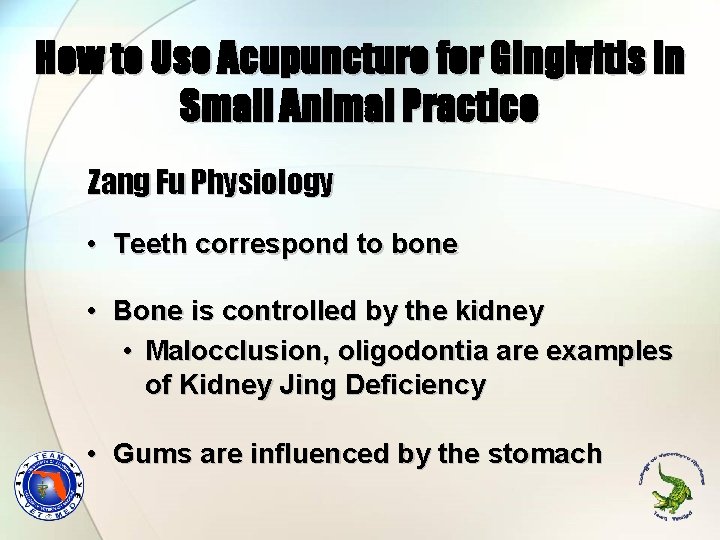 How to Use Acupuncture for Gingivitis in Small Animal Practice Zang Fu Physiology •