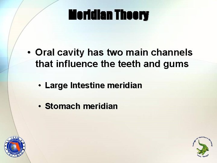 Meridian Theory • Oral cavity has two main channels that influence the teeth and