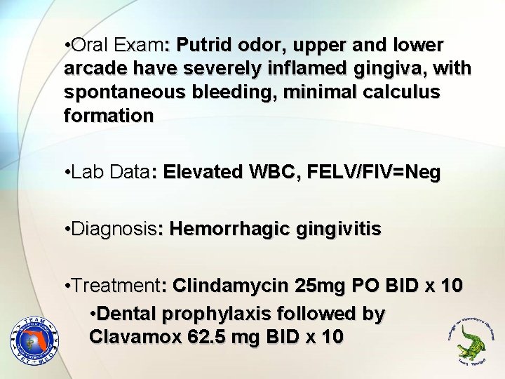  • Oral Exam: Putrid odor, upper and lower arcade have severely inflamed gingiva,