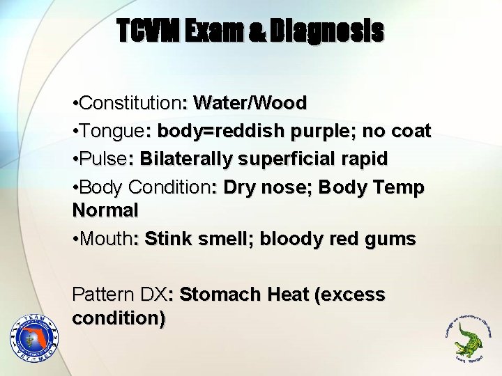 TCVM Exam & Diagnosis • Constitution: Water/Wood • Tongue: body=reddish purple; no coat •