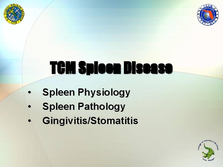 TCM Spleen Disease • • • Spleen Physiology Spleen Pathology Gingivitis/Stomatitis 