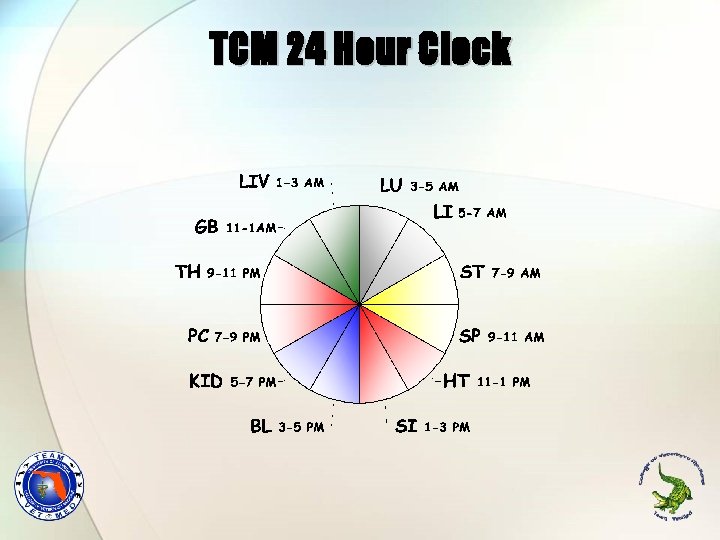 TCM 24 Hour Clock 