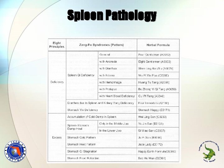 Spleen Pathology 