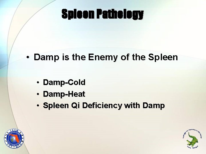 Spleen Pathology • Damp is the Enemy of the Spleen • Damp-Cold • Damp-Heat