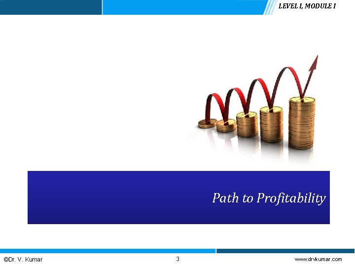 LEVEL I, MODULE I Path to Profitability ©Dr. V. Kumar 3 www. drvkumar. com