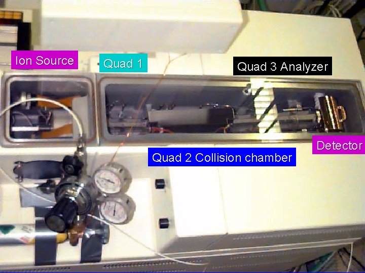 Ion Source Quad 1 Quad 3 Analyzer Quad 2 Collision chamber Detector 