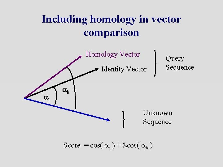 Including homology in vector comparison Homology Vector Identity Vector ai Query Sequence ah Unknown