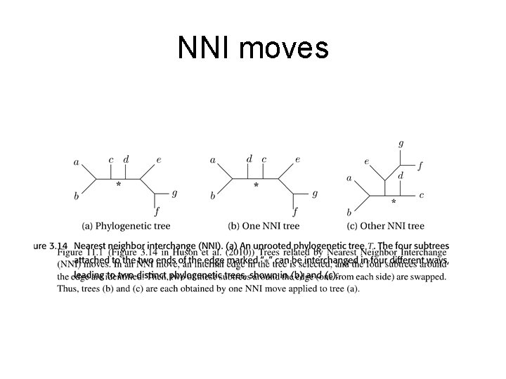 NNI moves 