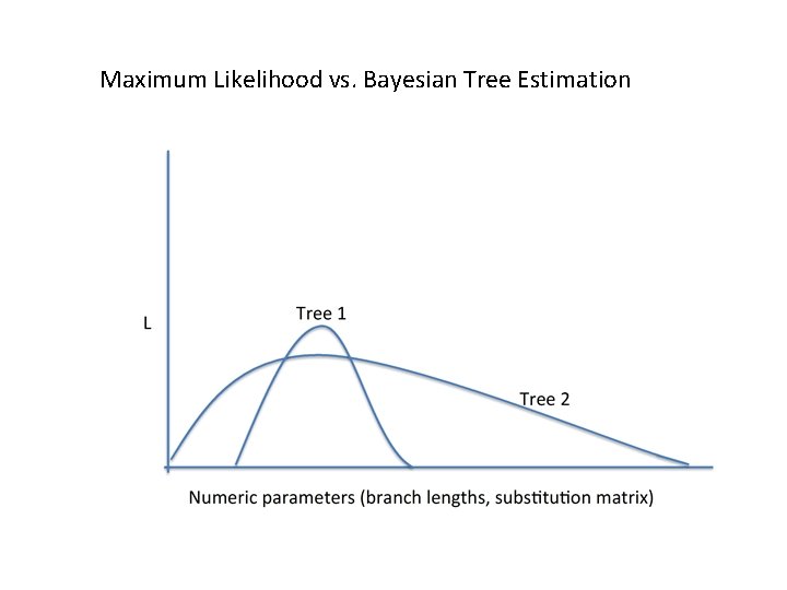 Maximum Likelihood vs. Bayesian Tree Estimation 