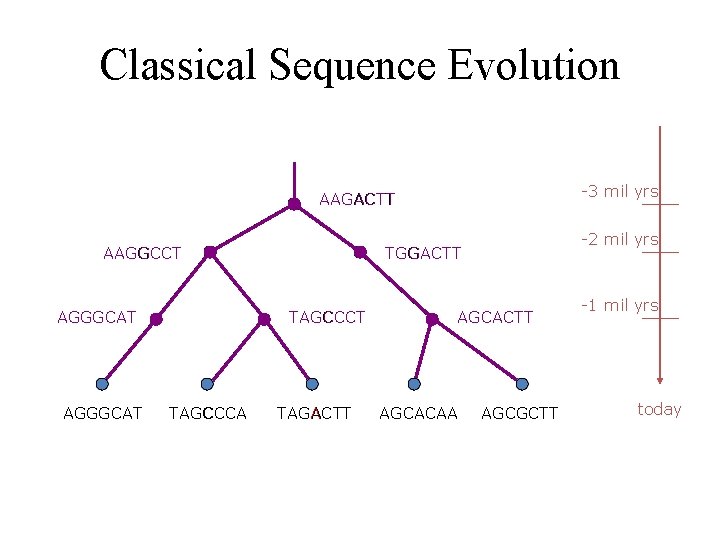 Classical Sequence Evolution -3 mil yrs AAGACTT AAGGCCT AGGGCAT TAGCCCA -2 mil yrs TGGACTT