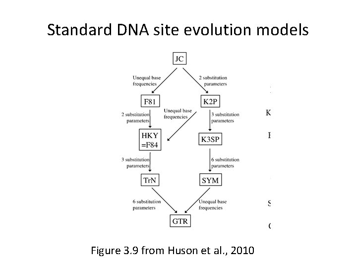 Standard DNA site evolution models Figure 3. 9 from Huson et al. , 2010