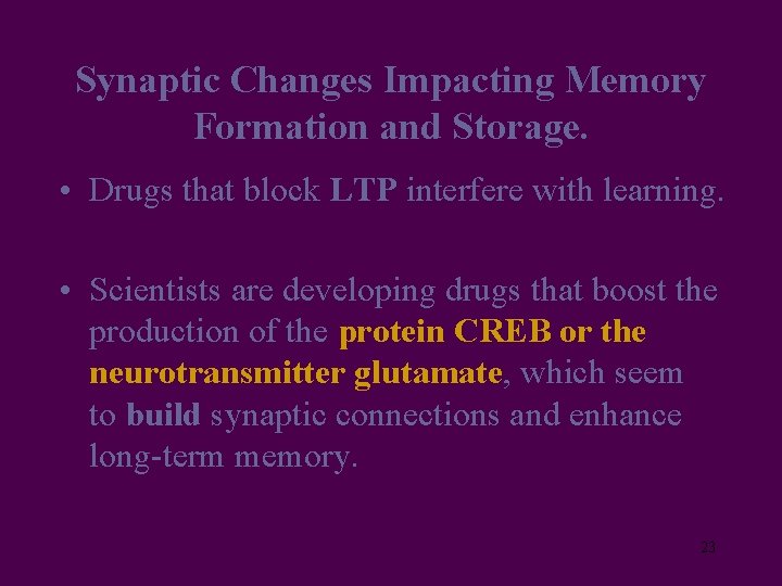 Synaptic Changes Impacting Memory Formation and Storage. • Drugs that block LTP interfere with
