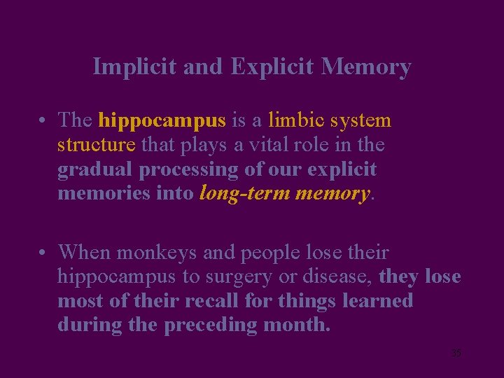 Implicit and Explicit Memory • The hippocampus is a limbic system structure that plays